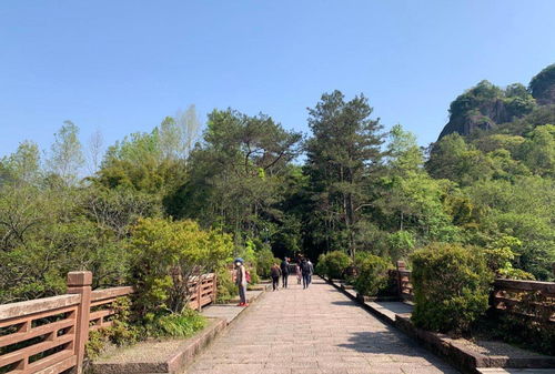 武夷山恢復開放，全國醫護人員免費游覽，多項優惠政策助力旅游業復蘇