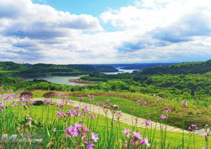探索旅游景區建設管理新路徑 創新旅行社服務網點與旅游招徠模式