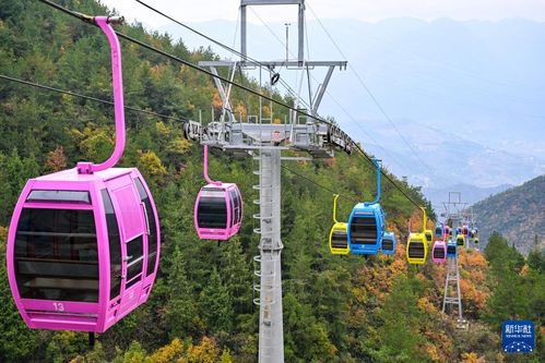 重慶巫山初冬美景引客來，旅行社服務網點積極招徠